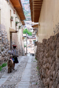 Cusco donna con alpaca